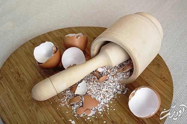 فواید پوست تخم مرغ 